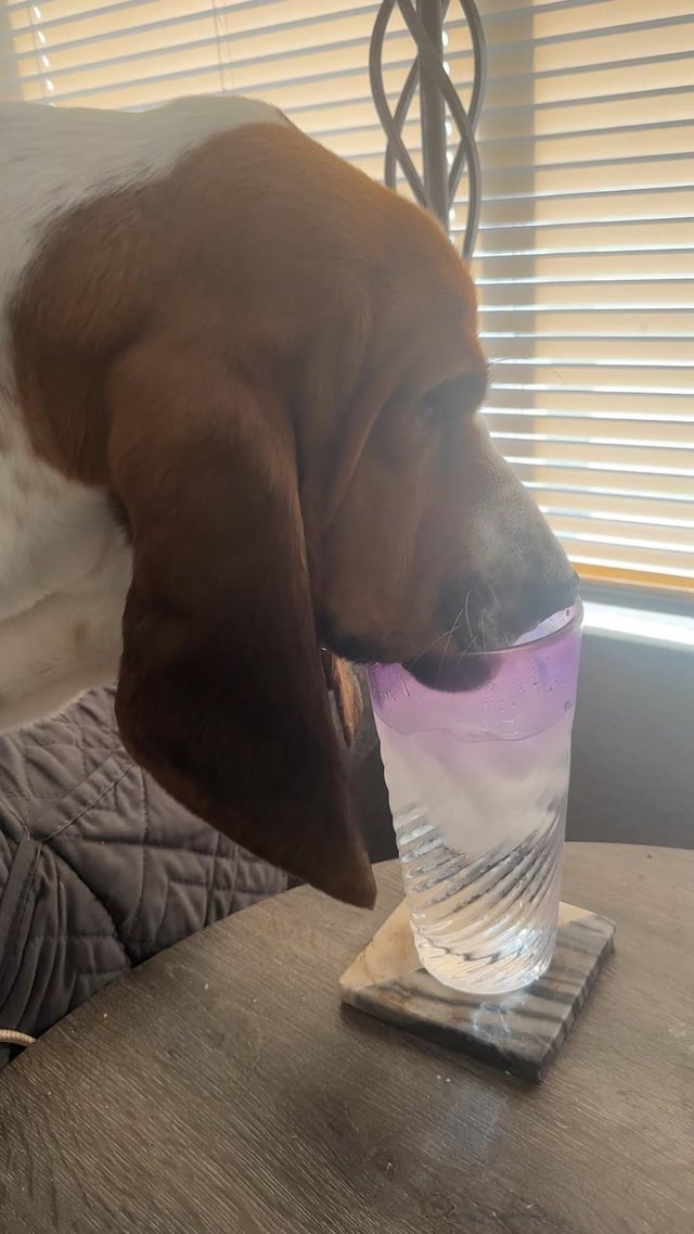 Caught in the act 😂