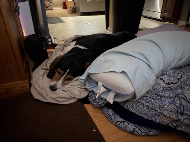 Went camping last night and I was too lazy to do the laundry. Rory didn’t mind.