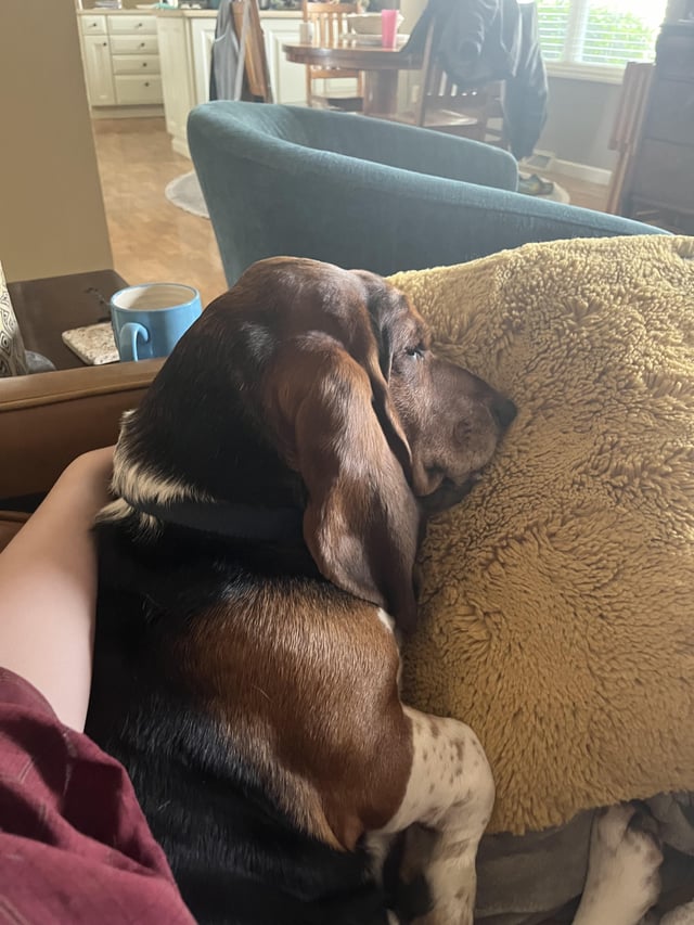 Cuddle buddy
