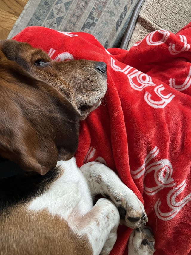 Sleepy boi