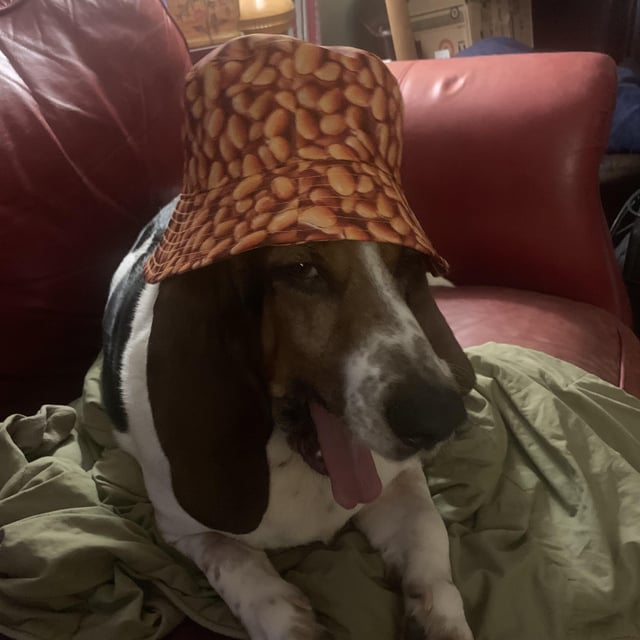 Esther in her bean hat