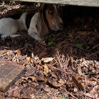 I guess today we’re hiding under the planter