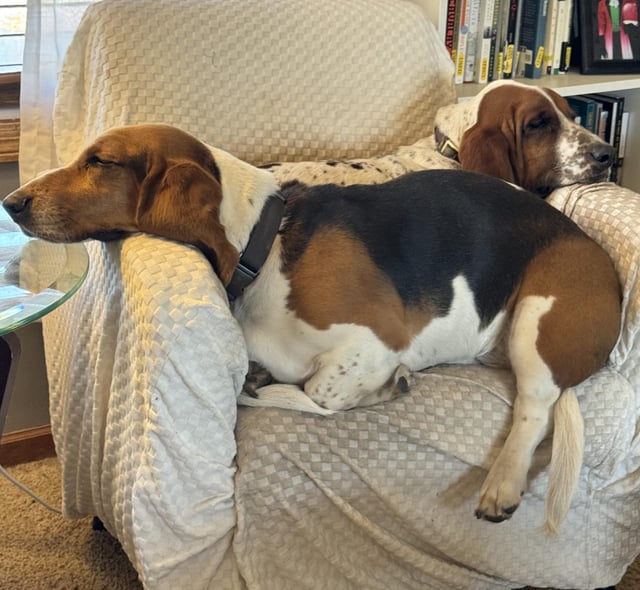 One chair? Let’s share!