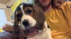 Since y’all wanted more photos or Charlie here ya go