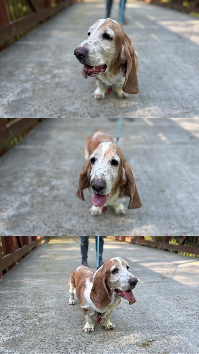 Bridget on a bridge!