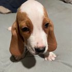 Reginald Q Short N Squat turns 1!