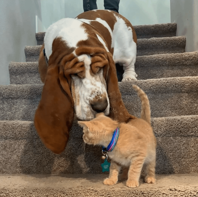 🤣They’re not besties yet but they will be.