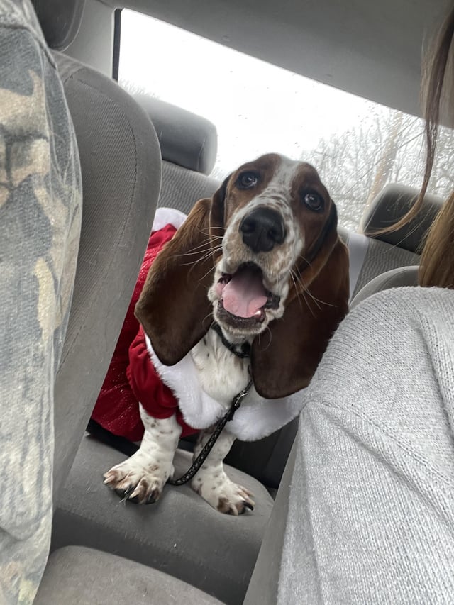 SANTA!!