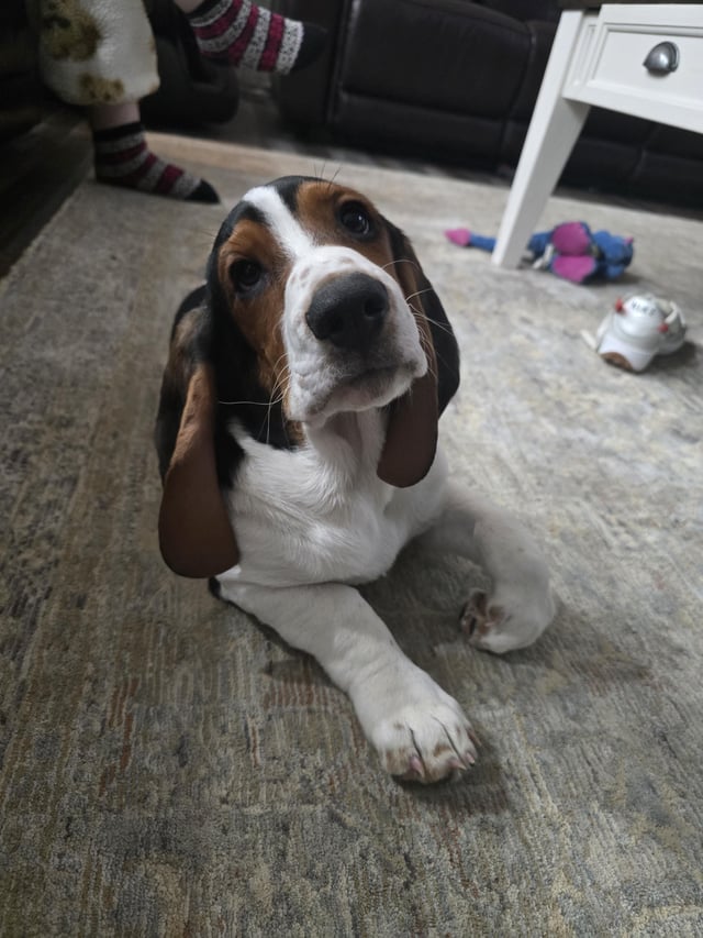 Little Billy