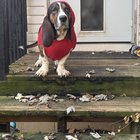 Sweater weather