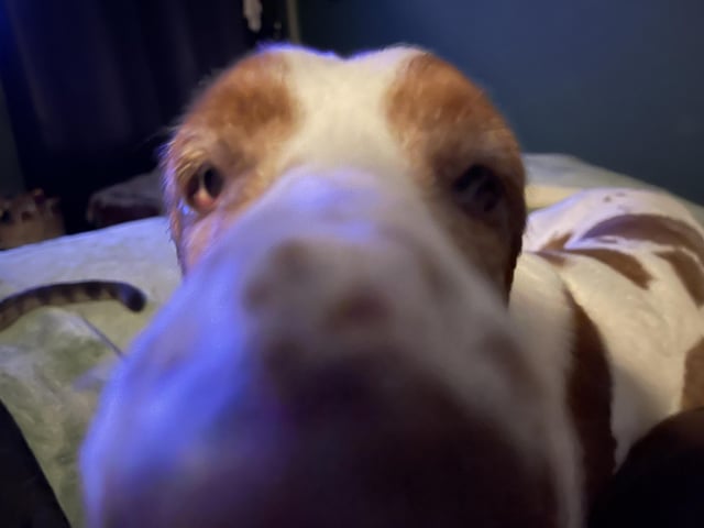 Hey do you have any games on your phone