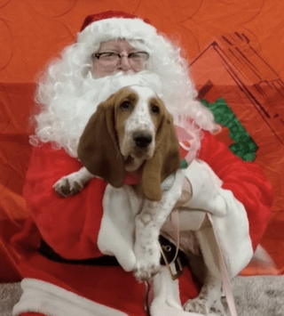 Happy Holidays!