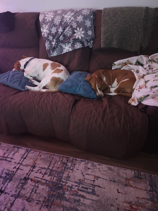 Think I can squeeze in there without waking them up?