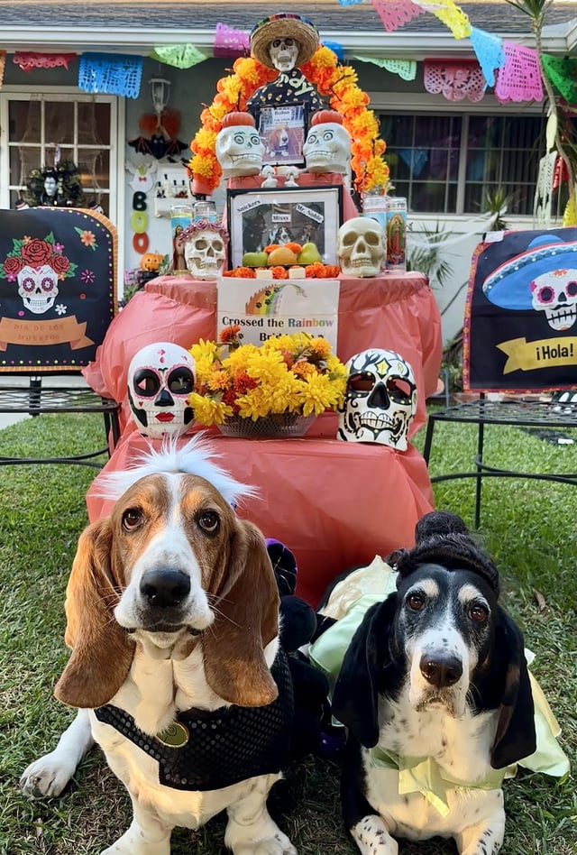 Forgot to post this gem during Halloween.