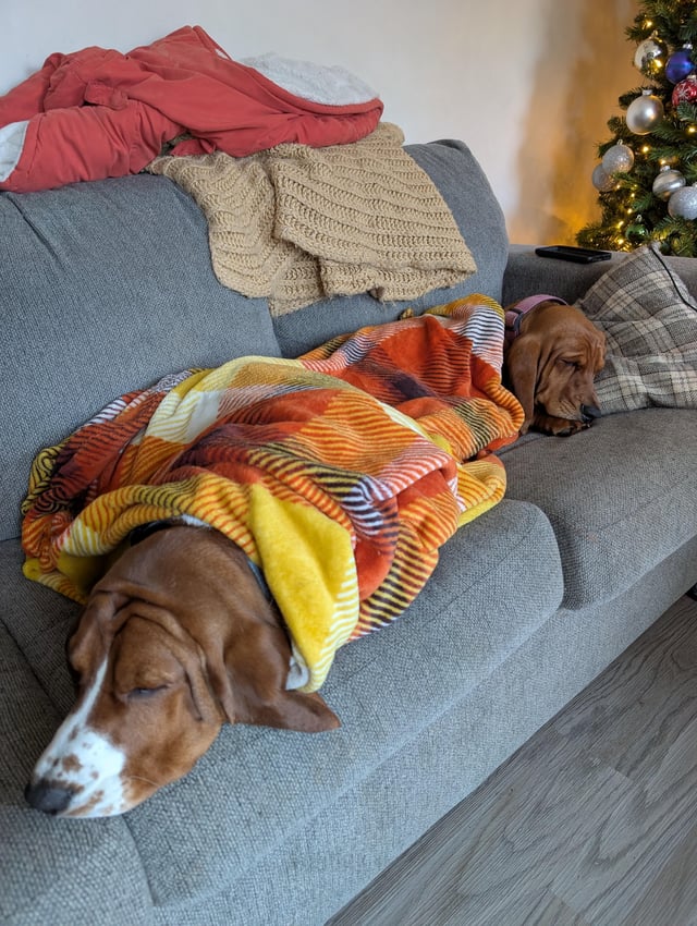 Holiday nap time