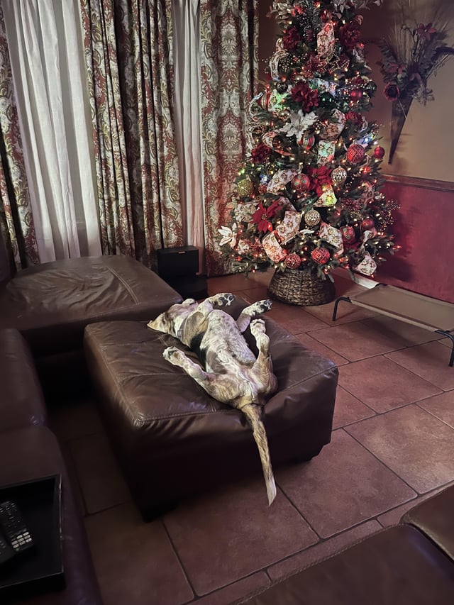 Wishing you a merry Christmas – Walter