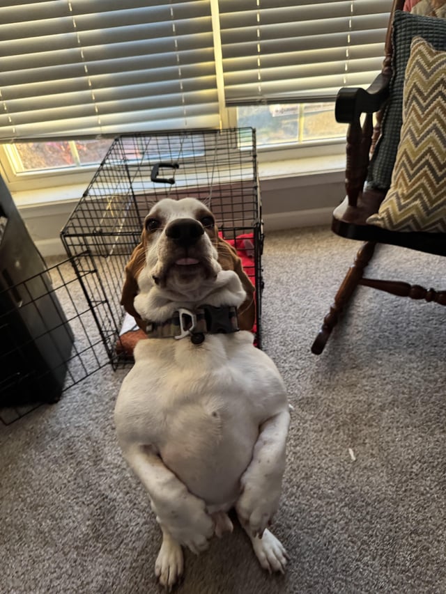 Sup…..