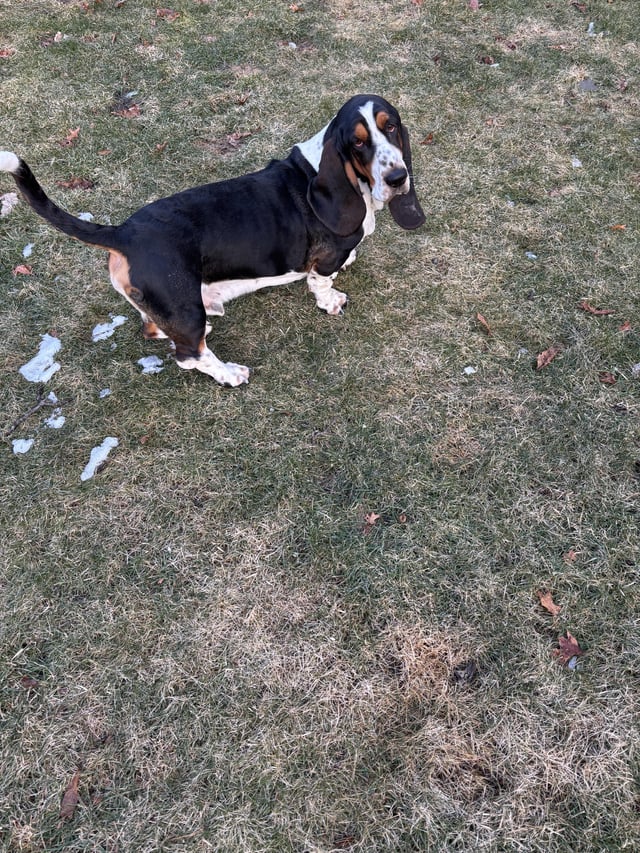 Can we go back inside now???