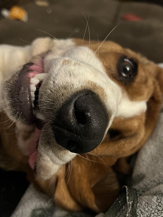 Lainey do! My silly girl!