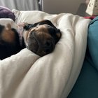 My little baby