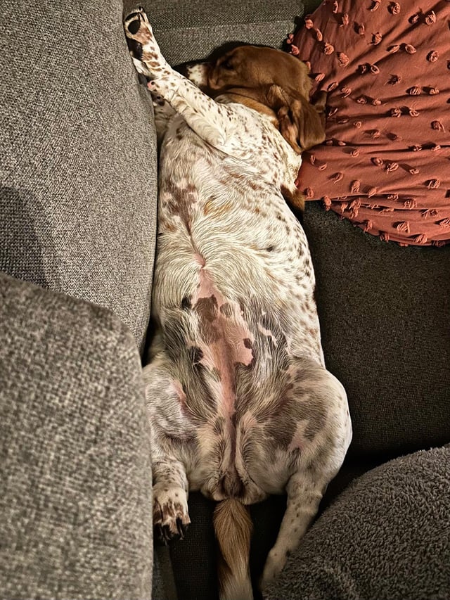 She’s a mess