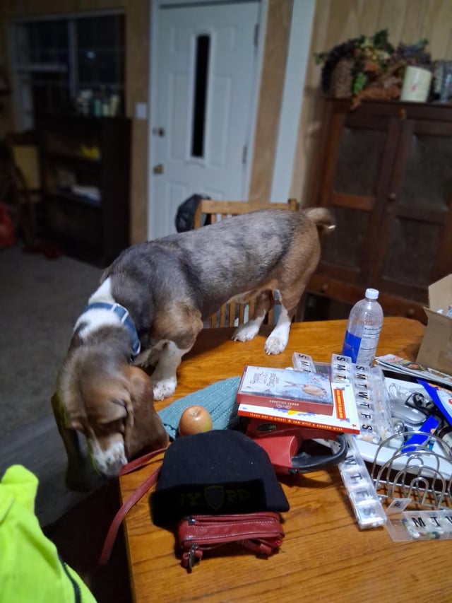 New Trick