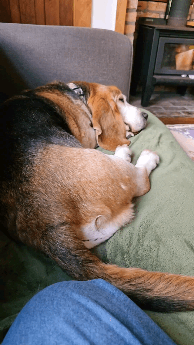 Most exercise he’s done all day
