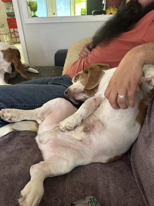 I think he’s broken.