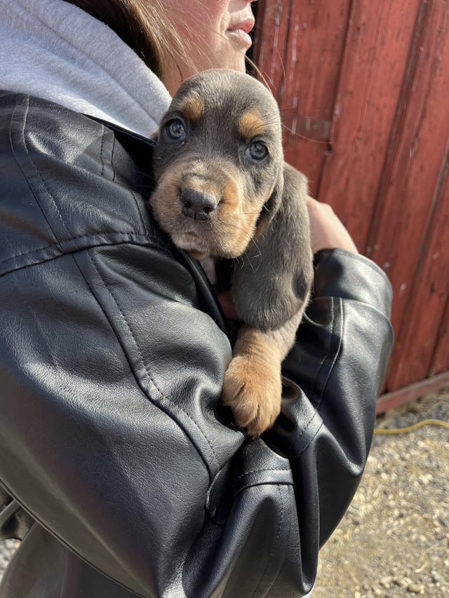 Name ideas please!