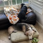 My Best Friends