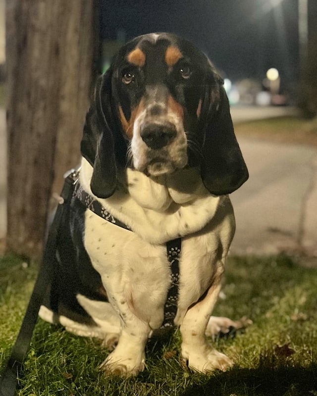 My handsome boy