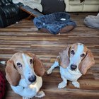 The Wonder Crew