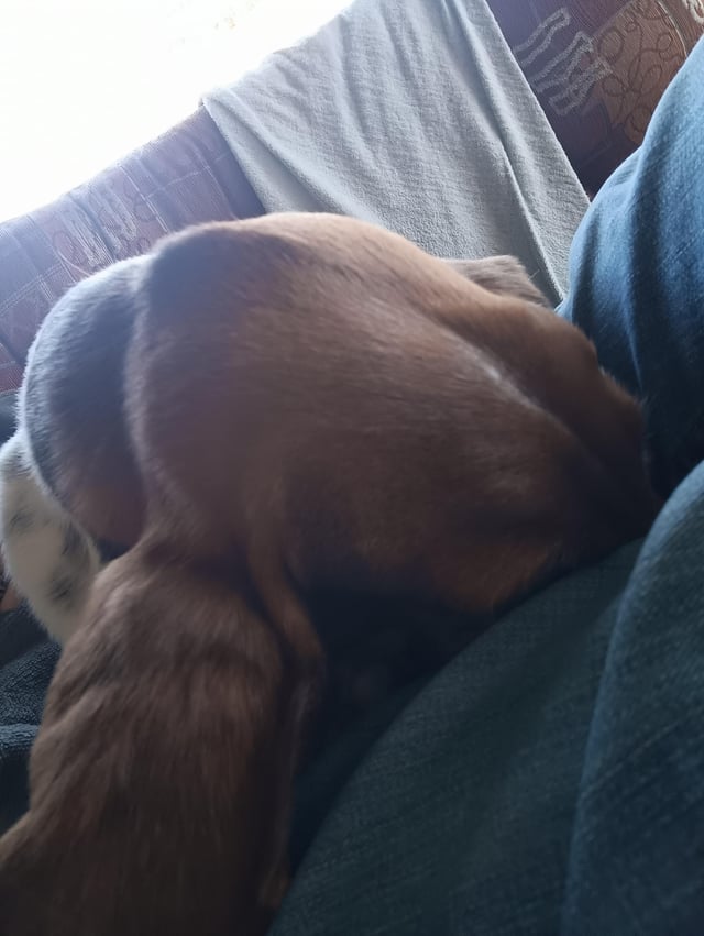 Anyone else’s sleep like this?
