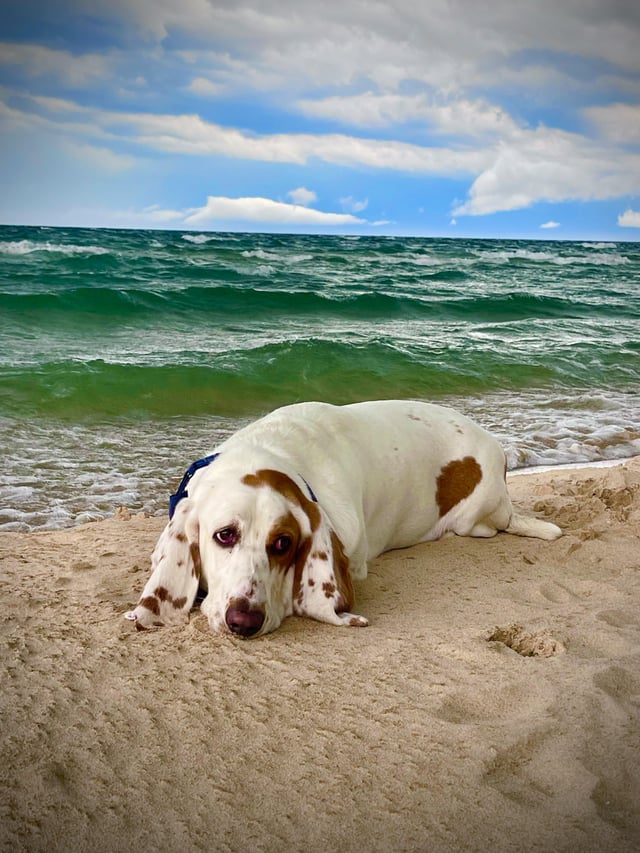 First Beach Trip