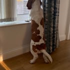 Margot’s mischief