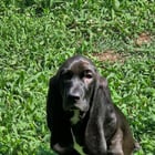 Ella decided to let me take a quick photoshoot.