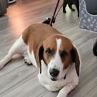 Meet Spud