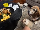 No eating in piece with this trio