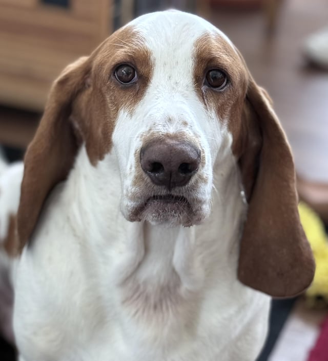 The face of bitter disappointment