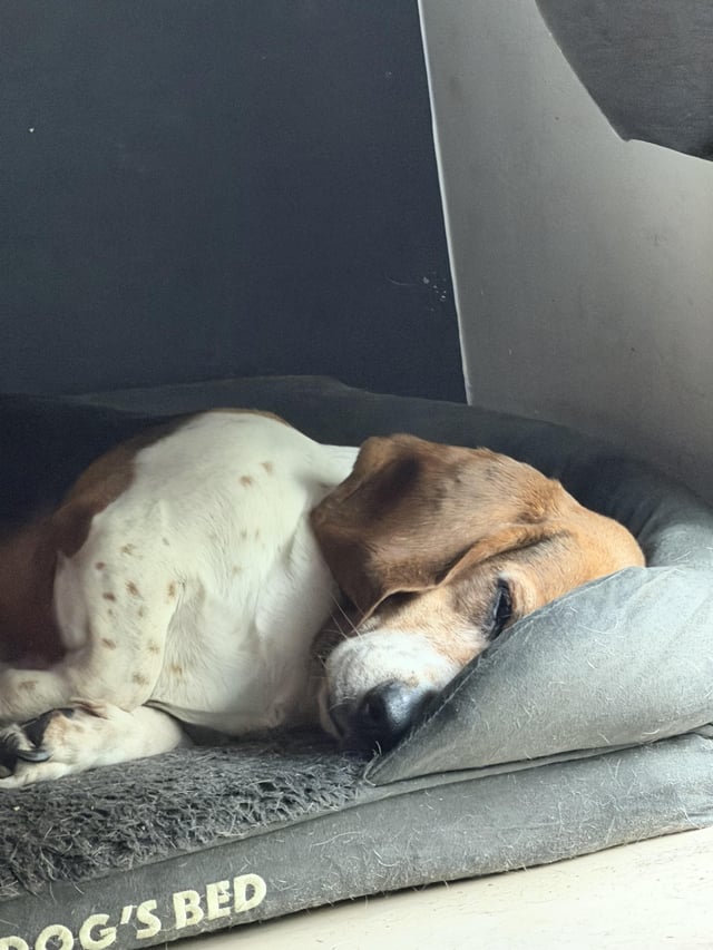 Bree has had a tough day