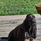 She’s getting bigger so fast.