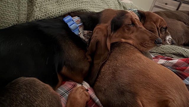 Love these buddies