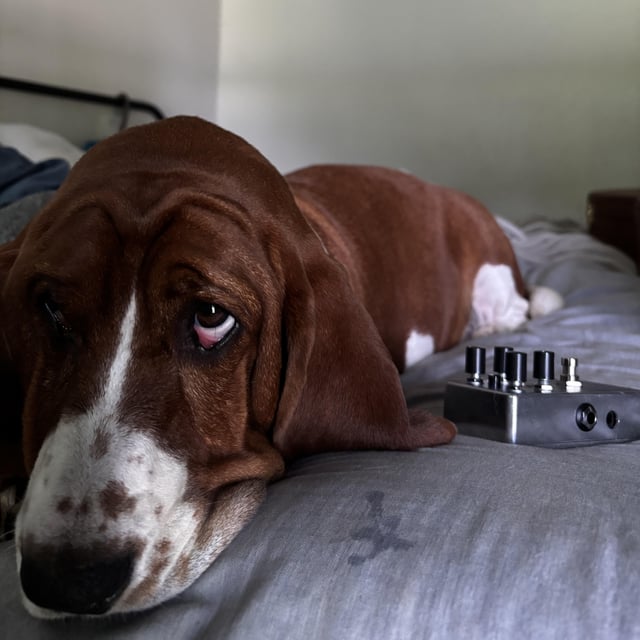 Carmine tests pedals…