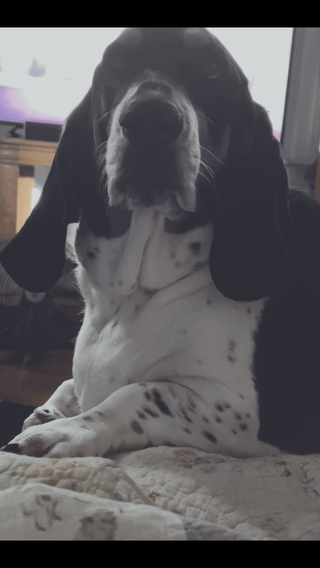 He wants his duck (sound fixed lol) My Henry ❤️
