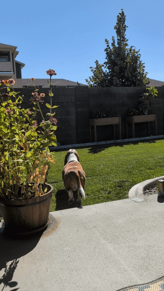 Mighty hunter