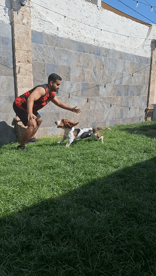 Playing Tag