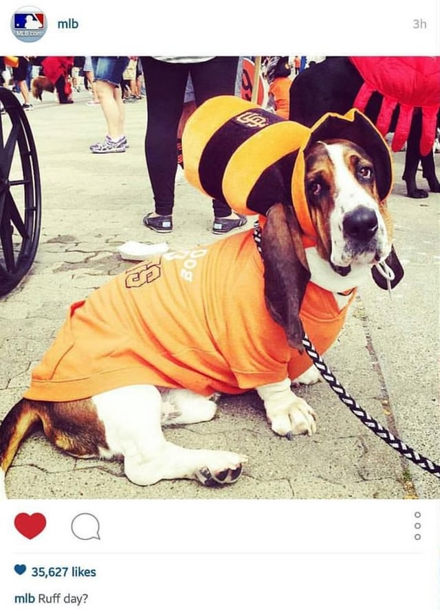 Eleven years ago, Wilson was featured on the MLB’s Instagram and became a celebrity for a day