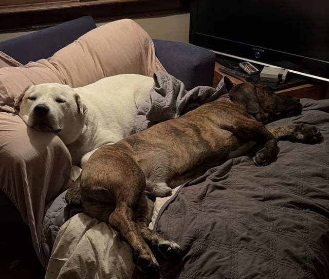 Besties, Whinchester and Bruce