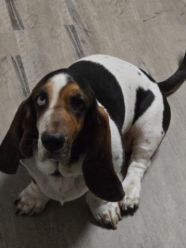 My beautiful lady
