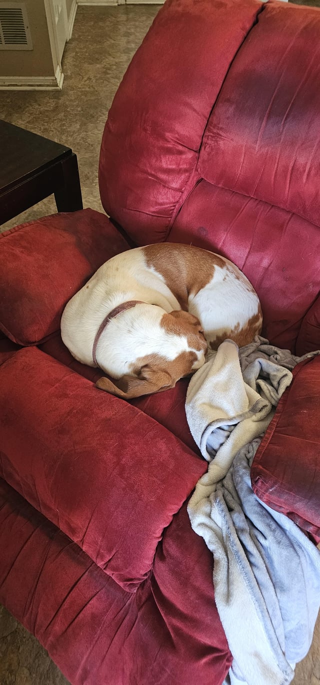 The Sleeping Basshole